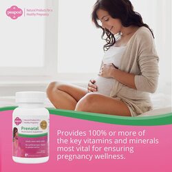 Fairhaven Health Peapod Prenatal Multivitamin - 1 Per Day, Light Vanilla Flavor - Pregnancy Must Haves for Women - Includes Iron, Vitamin C, and Folic Acid - 2 Month Supply-Expiry -9/30/2024